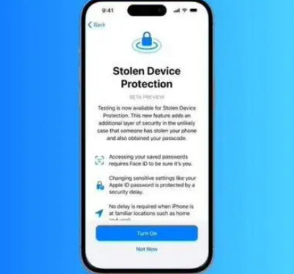 南吕镇苹果授权维修店分享被盗设备保护功能开启方法 