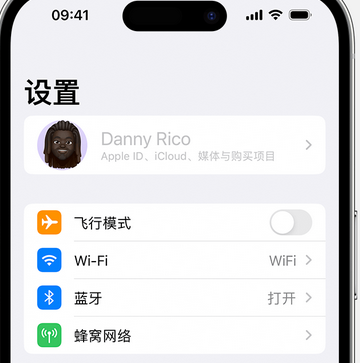 南吕镇appleID维修服务iPhone设置中Apple ID显示为灰色无法使用