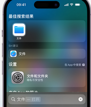 南吕镇apple维修中心分享iPhone文件应用中存储和找到下载文件 