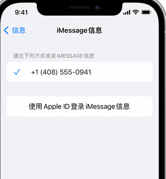 南吕镇apple维修iPhone上无法正常发送iMessage信息 