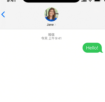 南吕镇apple维修iPhone上无法正常发送iMessage信息