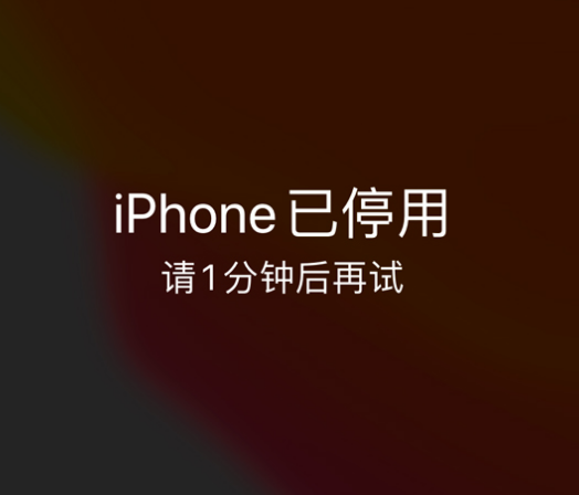 南吕镇苹果手机维修分享:iPhone 显示“不可用”或“已停用”怎么办？还能保留数据吗？ 