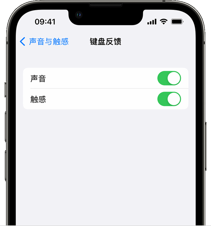 南吕镇苹果14维修店分享如何在 iPhone 14 机型中使用触感键盘 