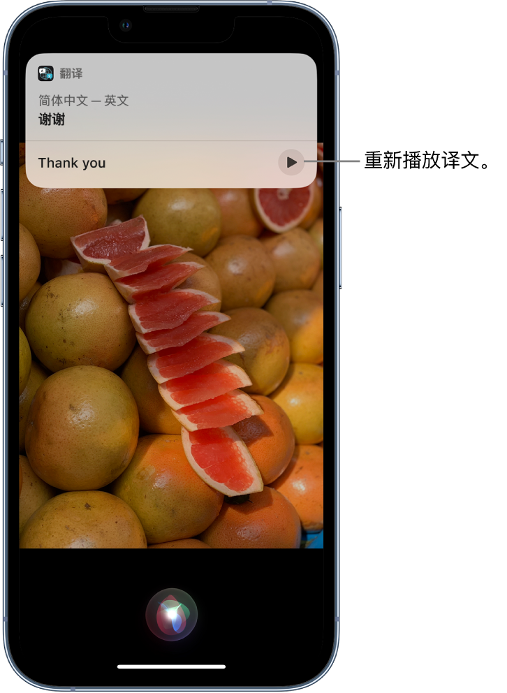 南吕镇苹果14维修分享 iPhone 14 机型中使用 Siri：了解 Siri 能帮你做什么 