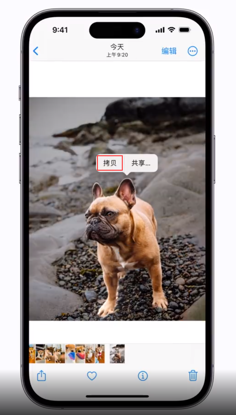 南吕镇苹果手机维修分享 iOS 16 自带一键抠图功能 