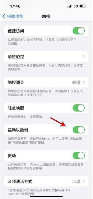 南吕镇苹果手机维修分享iPhone手机如何设置摇一摇删除文字 