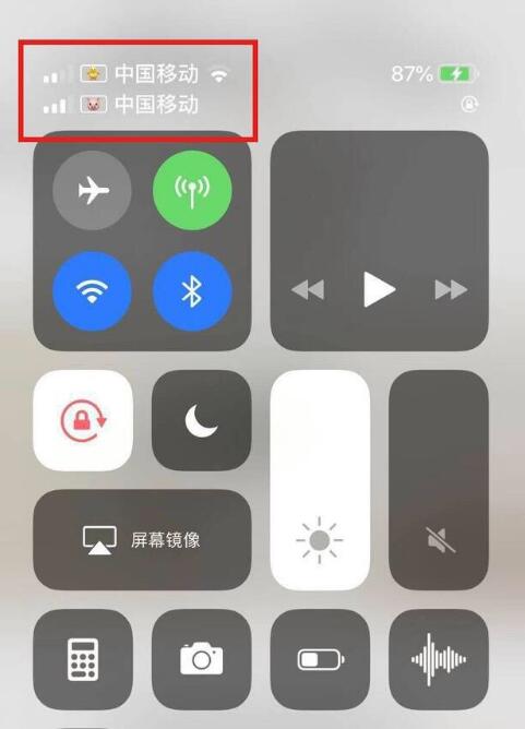 南吕镇苹果手机维修分享为 iPhone 12 双卡设置标签 